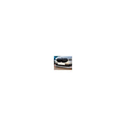 BMW F40 Front Splitter | 2019-2024 — fitted view