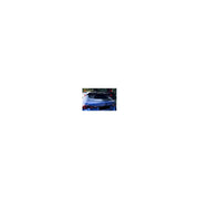 BMW 1 F40 MP Roof Spoiler | 2019+ — fitted view
